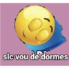 slc vou de dormes