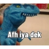 Afh iya dek