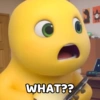 WHAT??