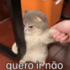 quero ir não