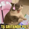 TÁ GRITANDO PO? 8888