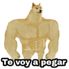@Harley Stickers Te voy a pegar