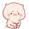Anak Babi Lucu 5