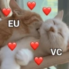EU VC