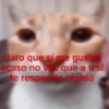 claro que sí me gustas acaso no vez que a ti si te respondo rápido