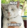 Napa Gaseneng?