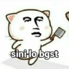 v ) sini-lo bgst