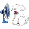 Cute dog 🤍🦴🏠 Perro Blanco 10