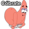 Cóbrate Harley Stickers