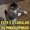 ESTE É O CARALHO DA MINHA OPINIÃO