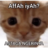 Kucing 9