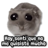 Hoy sentí que no me quisiste mucho