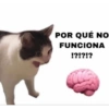 POR QUÉ NO FUNCIONA !?!?!?