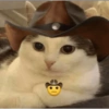 Shitpost Tranqui  12