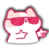 /ᐠ > ˕ <マ♡GATITA ִֶָ࣪☾. 14