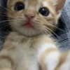 Kittens 🐱 ❤️ 14