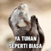 YA TUHAN
SEPERTI BIASA