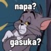 napa?
gasuka?