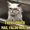 FALOU POUCO MAS, FALOU BOSTA