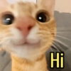 Hi