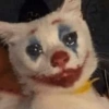 MEME BADUT 🤡 7