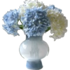 Flores - Flowers 💐  14
