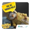 MAL DEL PUERCO POLLO MUNDO POLLO MSD Salud Animal