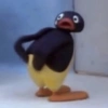 PINGU REAÇÕES  15