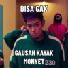 BISA GAK GAUSAH KAYAK MONYET 230