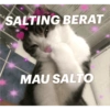 SALTING BERAT MAU SALTO