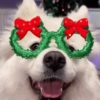 Perritos Navideños (Stickers) 7