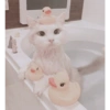 Cute Cat 16