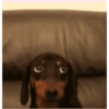 😎 MOODS PERRUNAS 😎 9