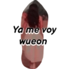 Ya me voy wueon