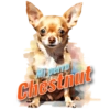 Mi perro Chestnut