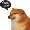 Cosa Rica!