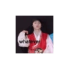 Korean idol aktor dramatis 7