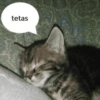 tetas