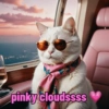 pinky cloudssss