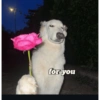for you