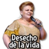 Desecho de la vida