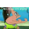 Ayo maju sini anjing