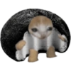 Mochi cat  7