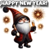 HAPPY NEW YEAR! carolszdio