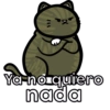 Ya no quiero nada