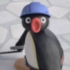 PINGU REAÇÕES  11