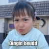 Dingin beudd