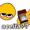 aceita??