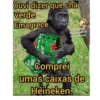 Ouvi dizer que chá verde Emagrece. Chimpanze Engraçado só Os melhores Comprei umas caixas de Heineken!