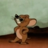 Jerry 12